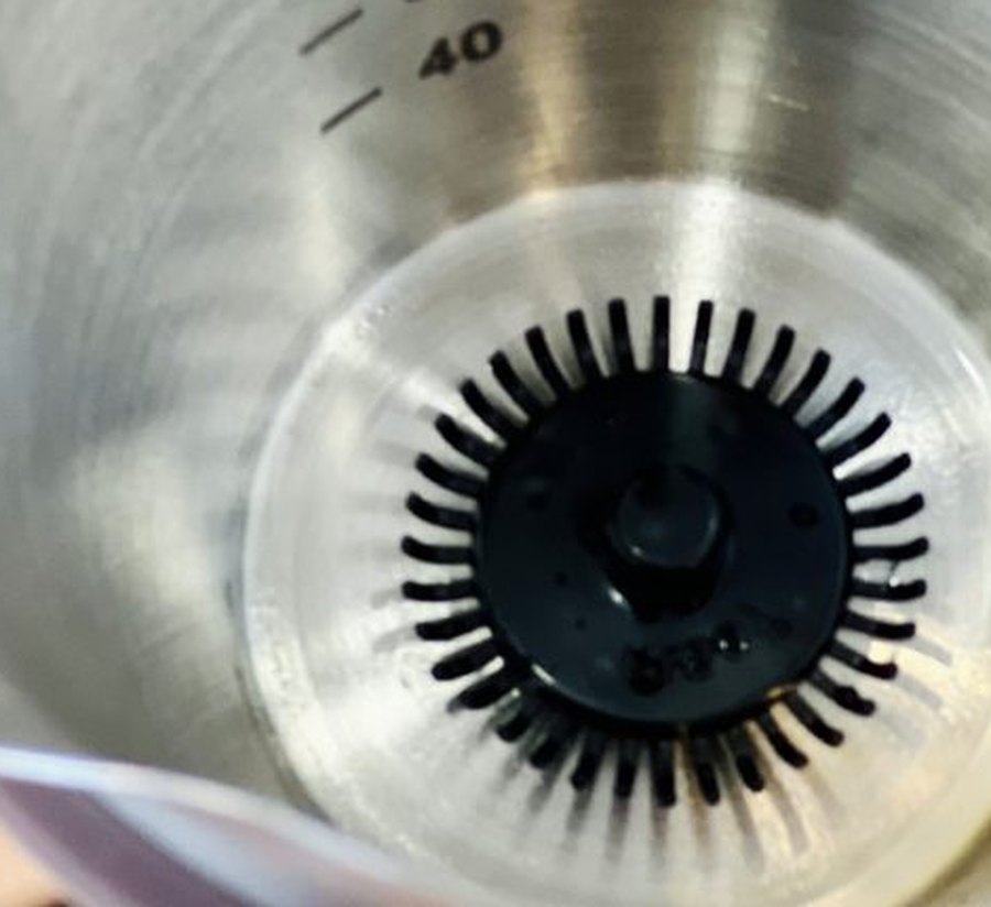 Close-up inside the stainless cup showing the whisk head: a black disc with 36 short stiff tines radiating outward, sitting just above the cup floor